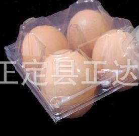 雞蛋塑料托盒 守護新鮮與安全的隱形屏障——石家莊正達塑料制品廠的匠心之作